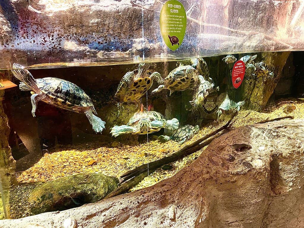 Interactive Science Displays