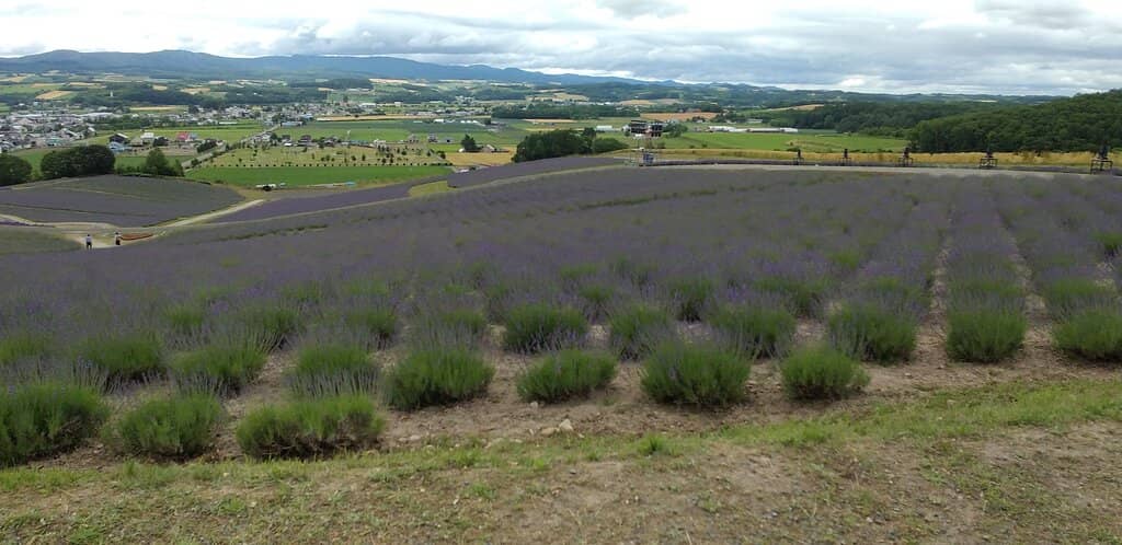 Children's Playground