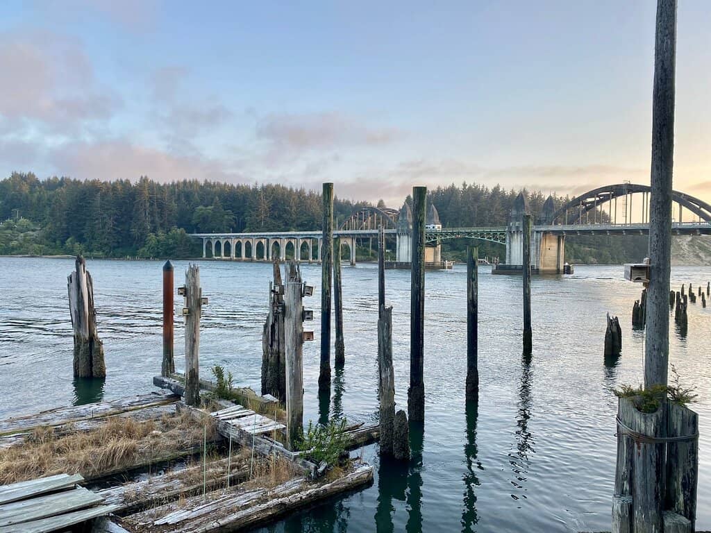 Oregon Dunes Backdrop