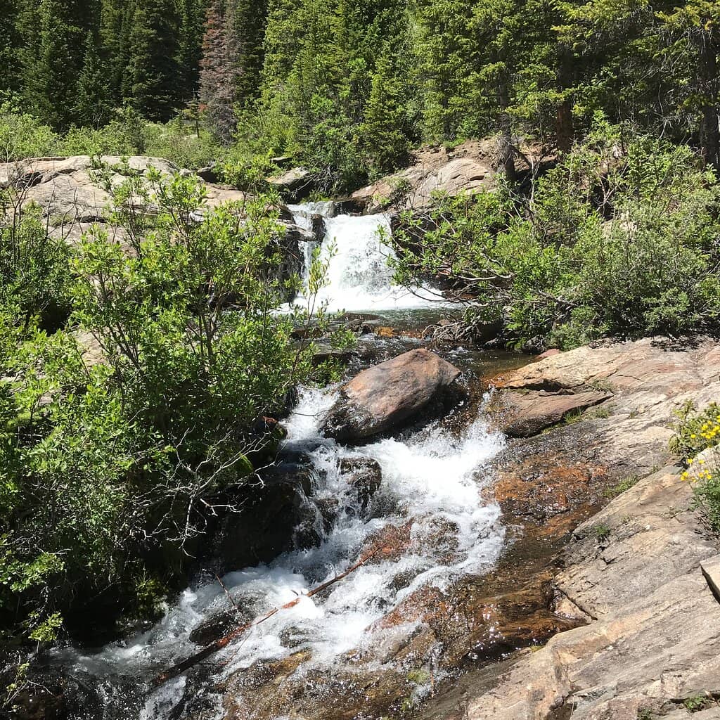 Historic Magnolia Mill