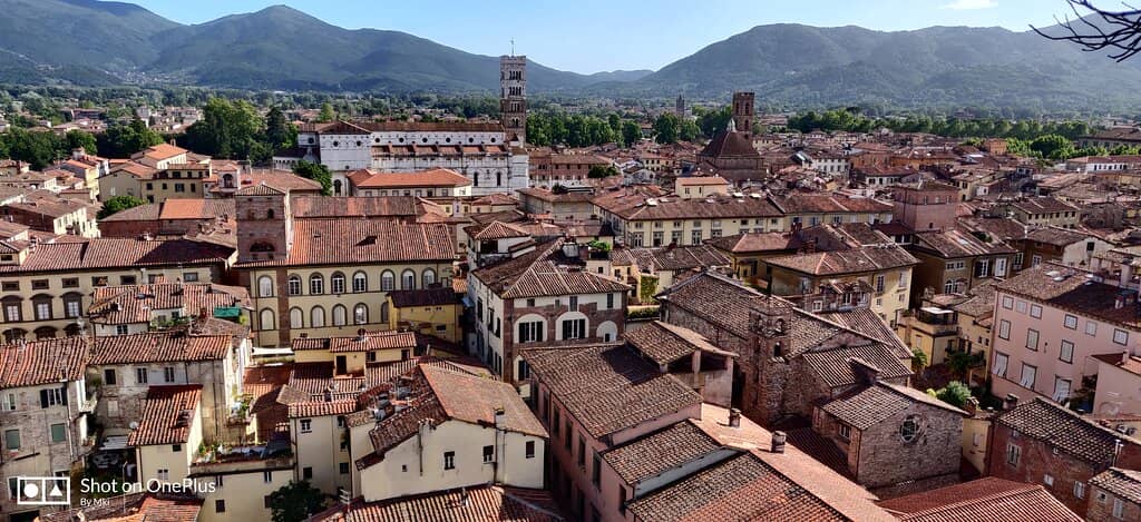 Panoramic Lucca Views