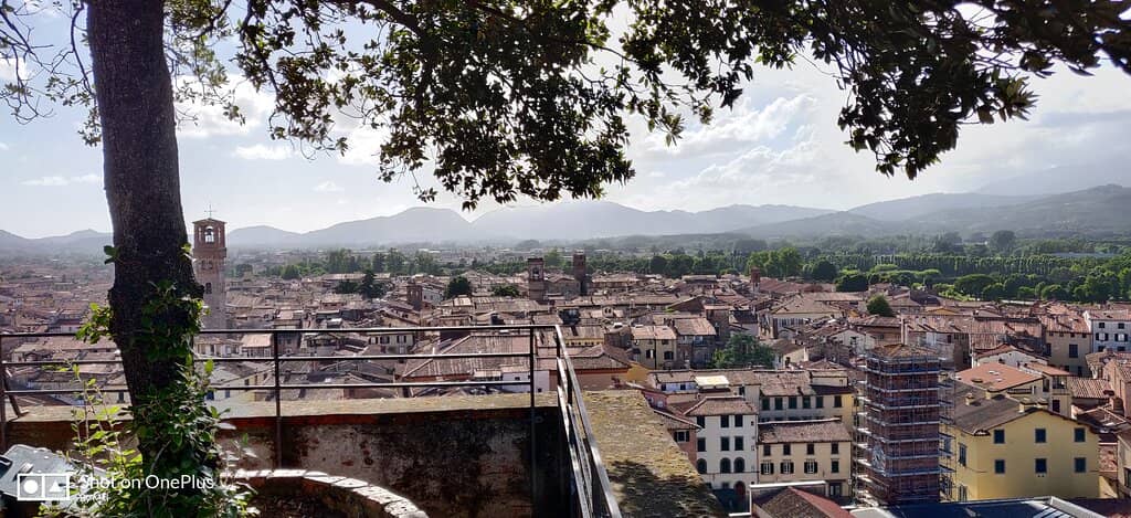 The Oak-Topped Summit