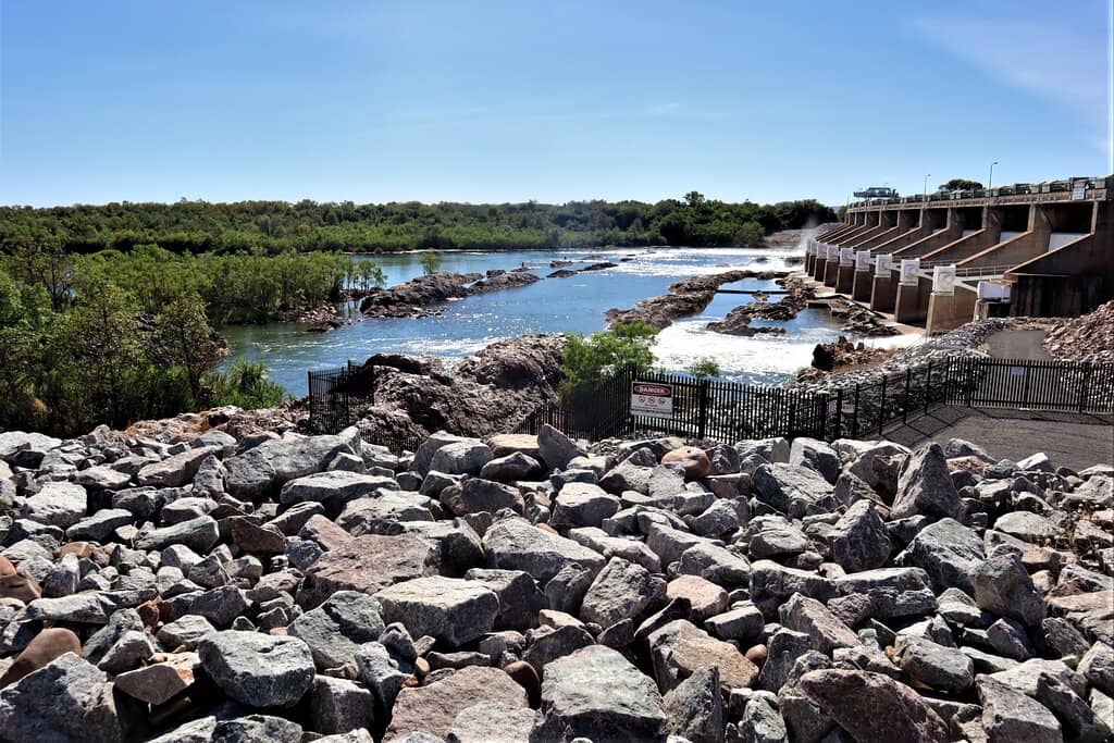 Freshwater Crocodiles