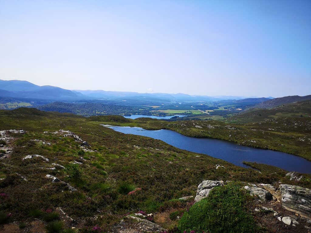 Birch Woodland Trails