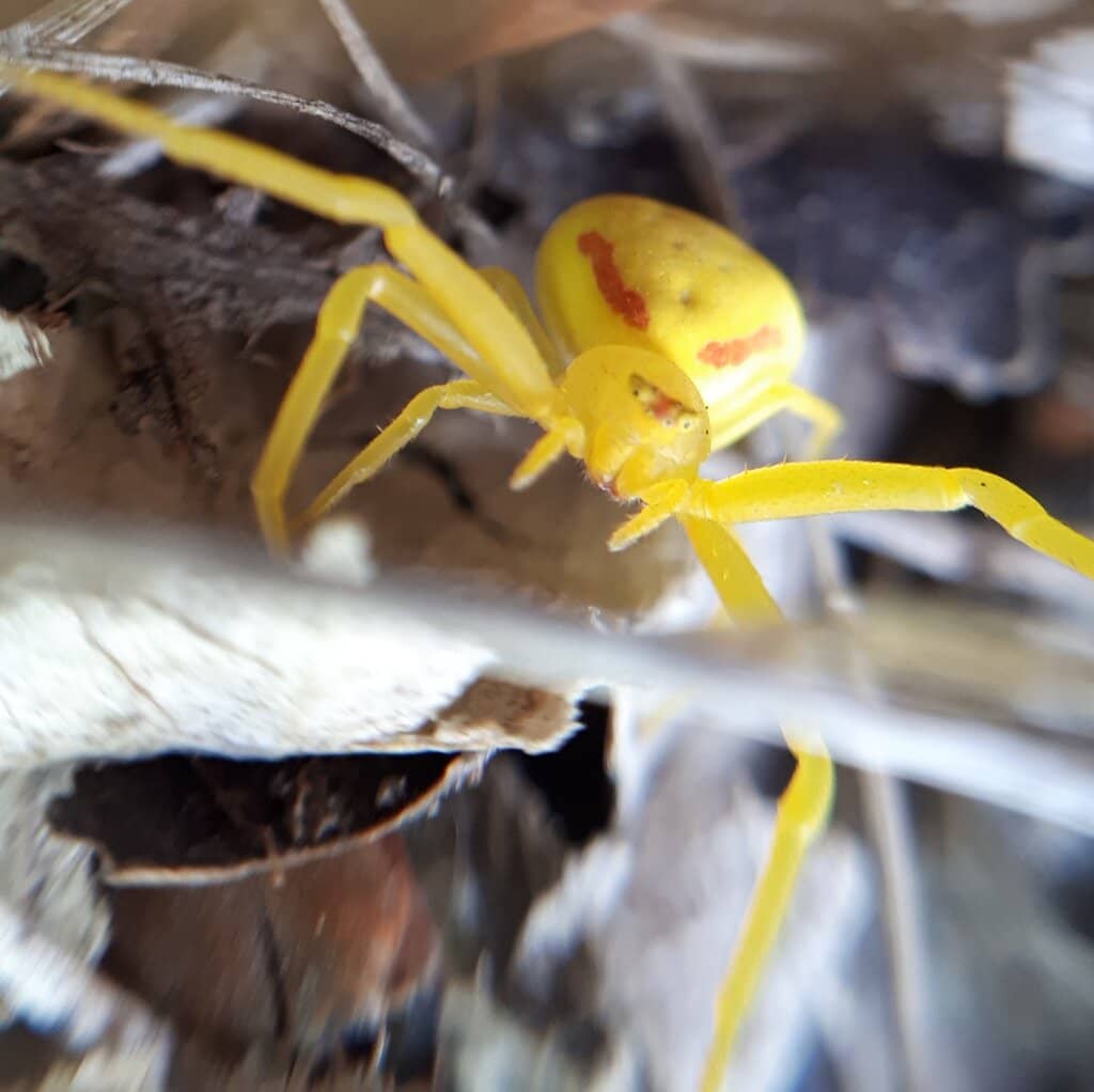 Red River Waterfront