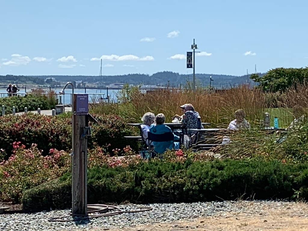 Small Sailboat Haven