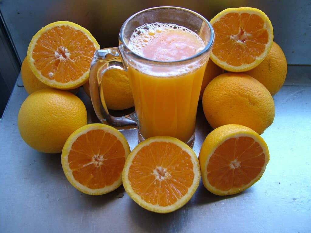 Unique Paper Plate Service