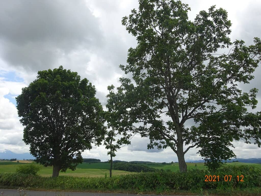 Inspirational Photo Spot