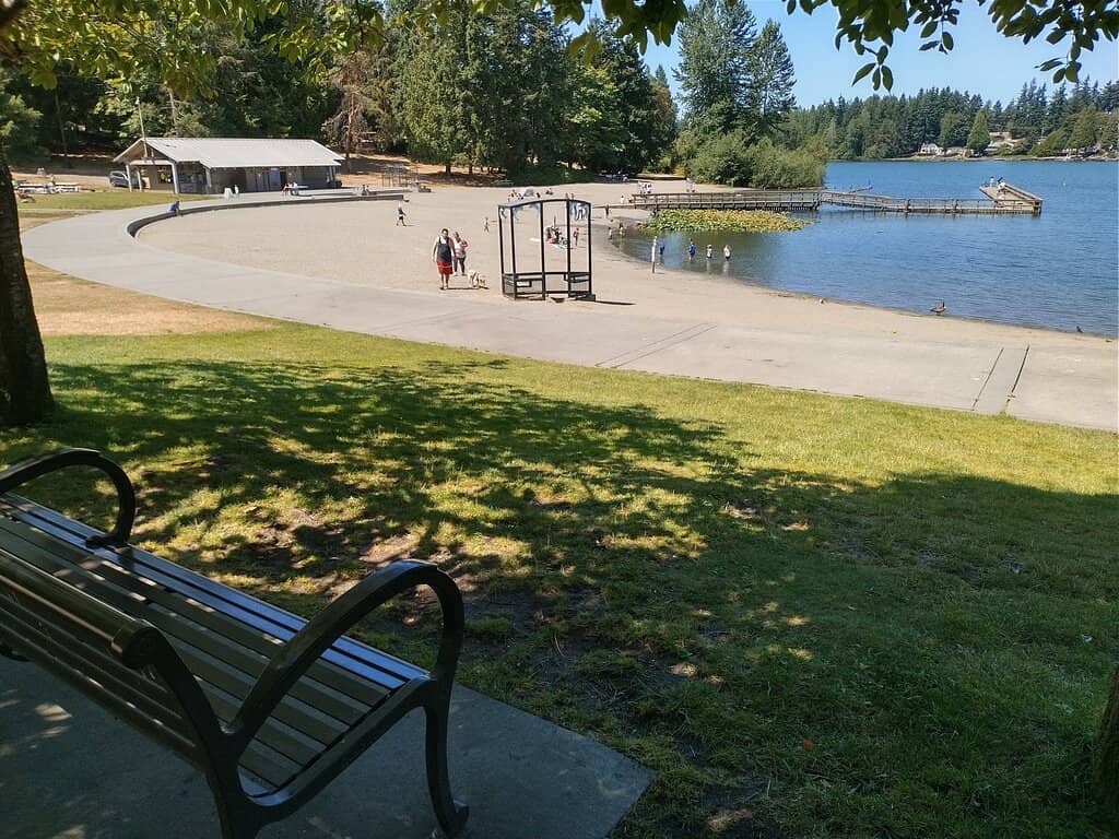 Summer Concert Series