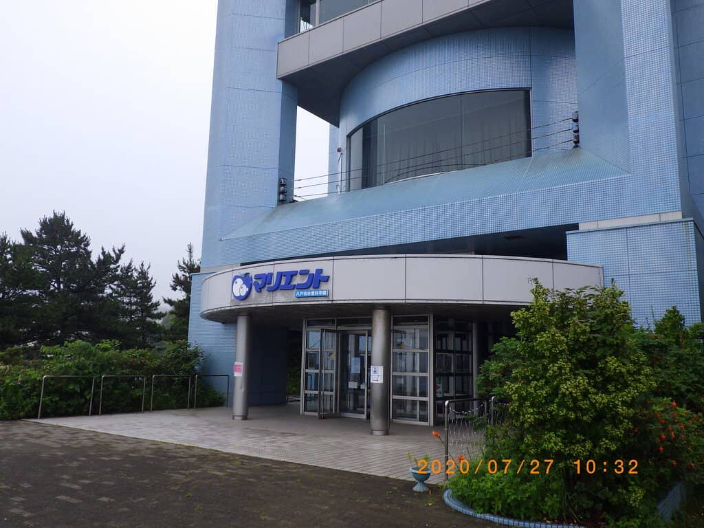 Marine Life Encounters