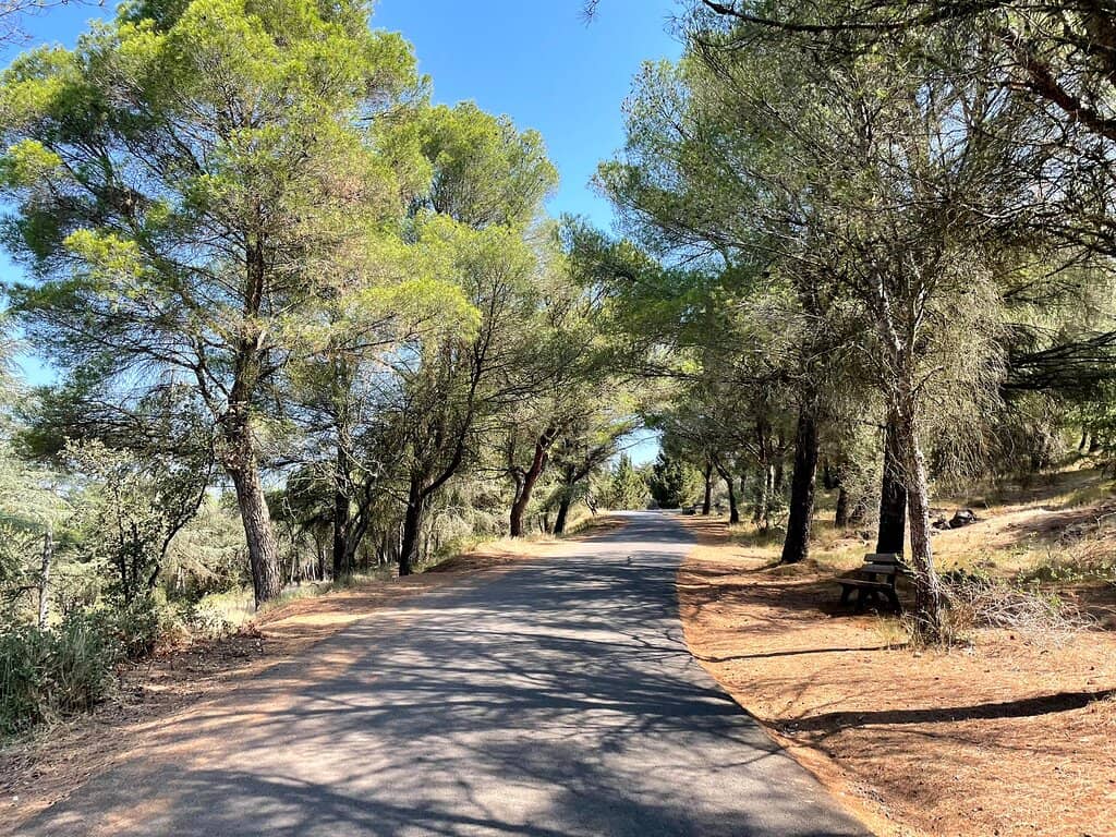 The Little Train Ride