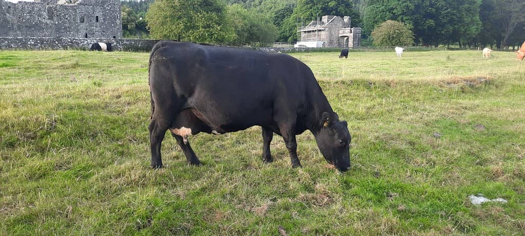 Scenic 3km Walking Trail