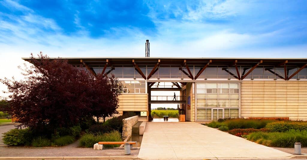 Summer Concert Series