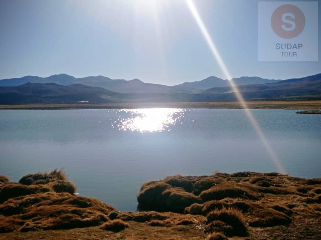 Lagunas Altiplánicas