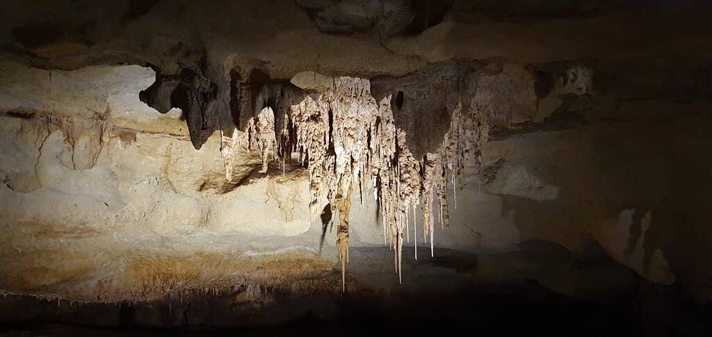 The 'Solid Darkness' Experience