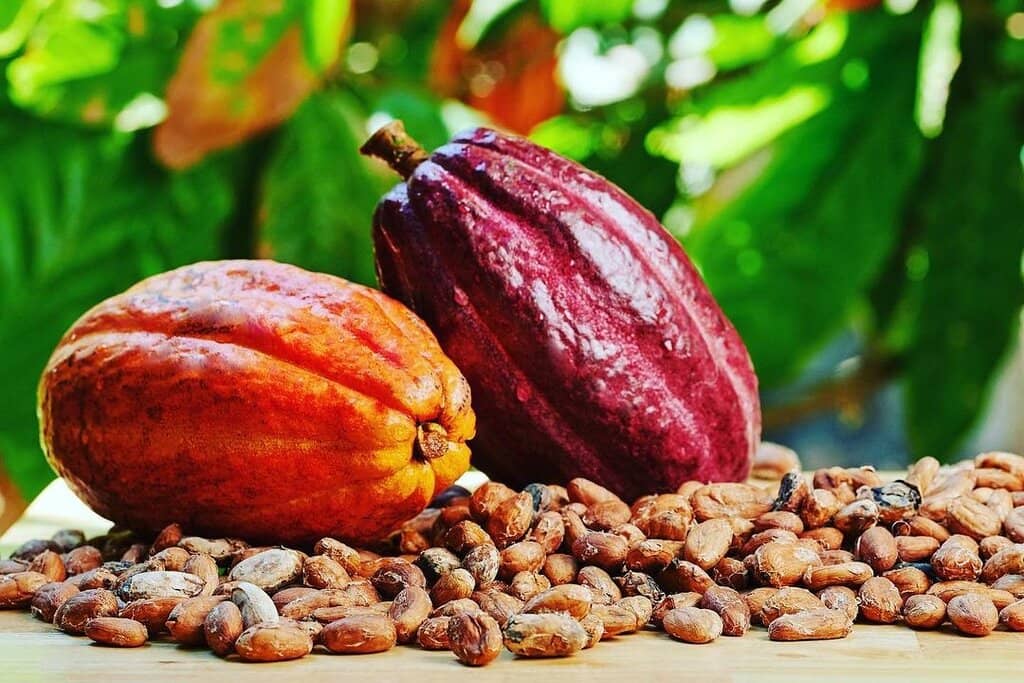 Personalized Chocolate Bar Creation