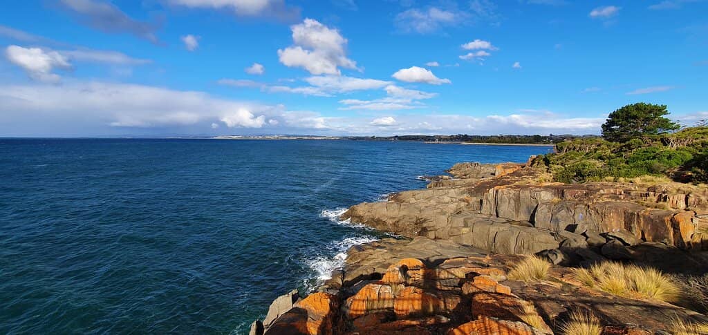Coastal Walking Tracks