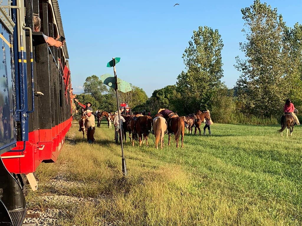 Open-Air Car Experience