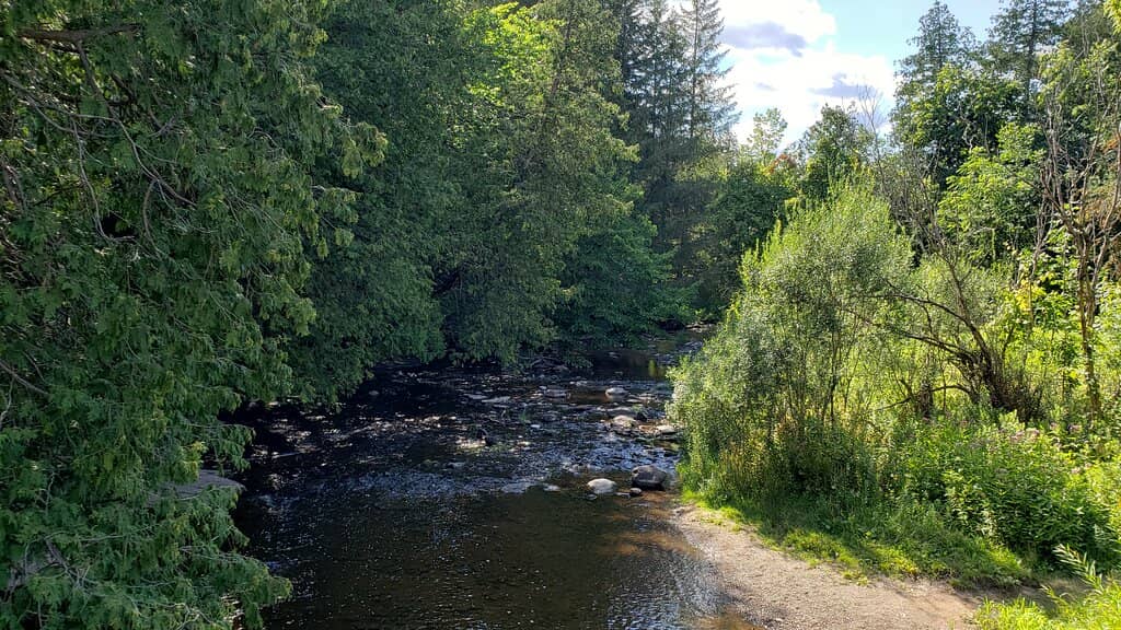 Obama Presidential Center