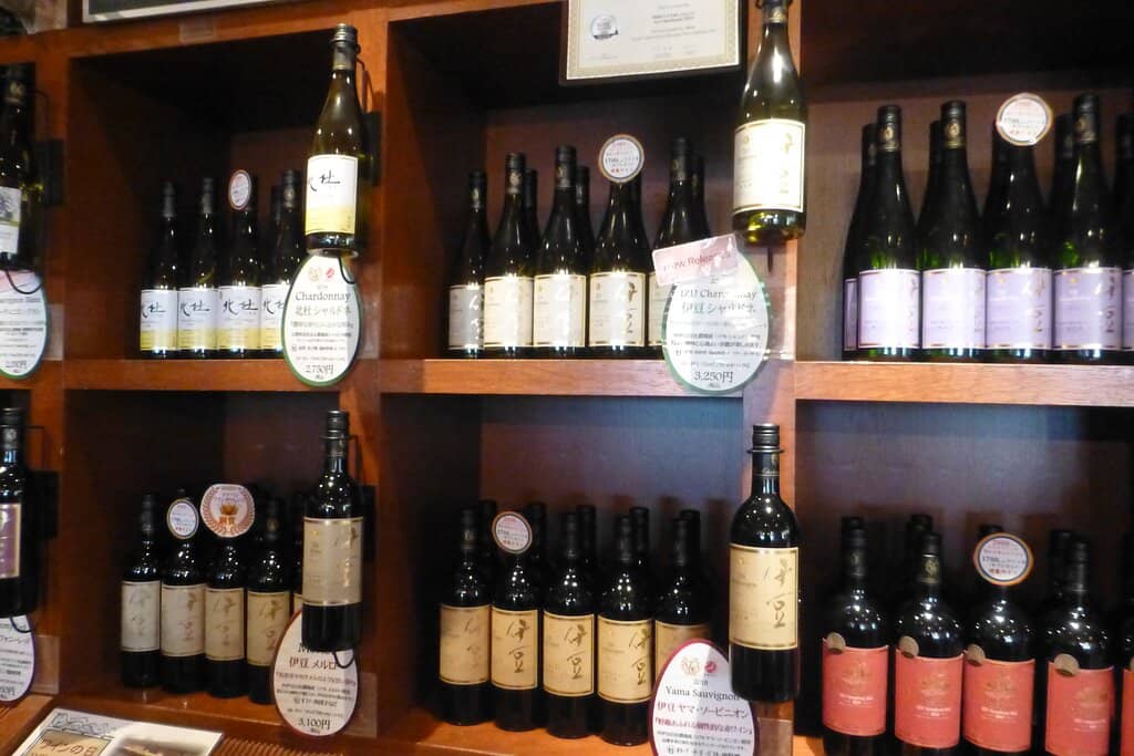 Vineyard Horseback Riding