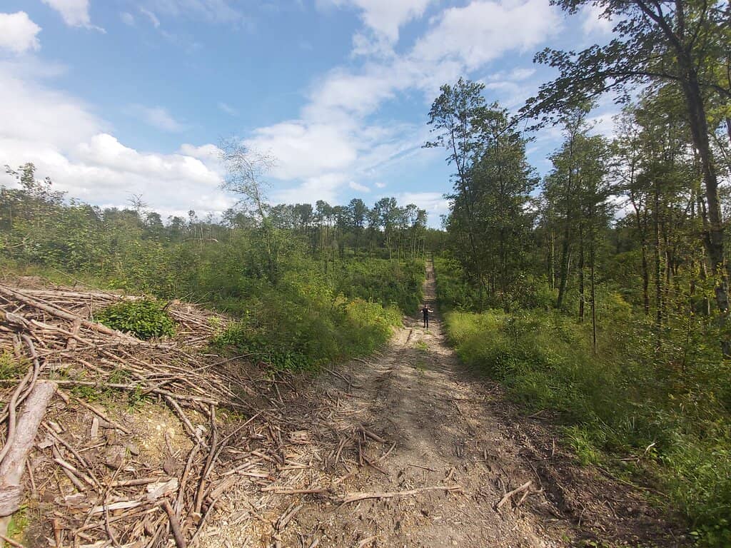 The Battlefield Trails