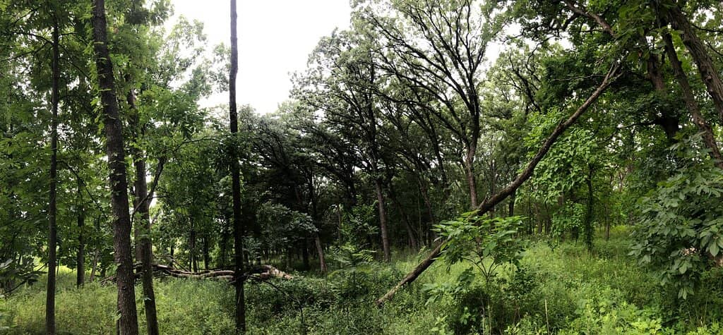 Diverse Nature Trails