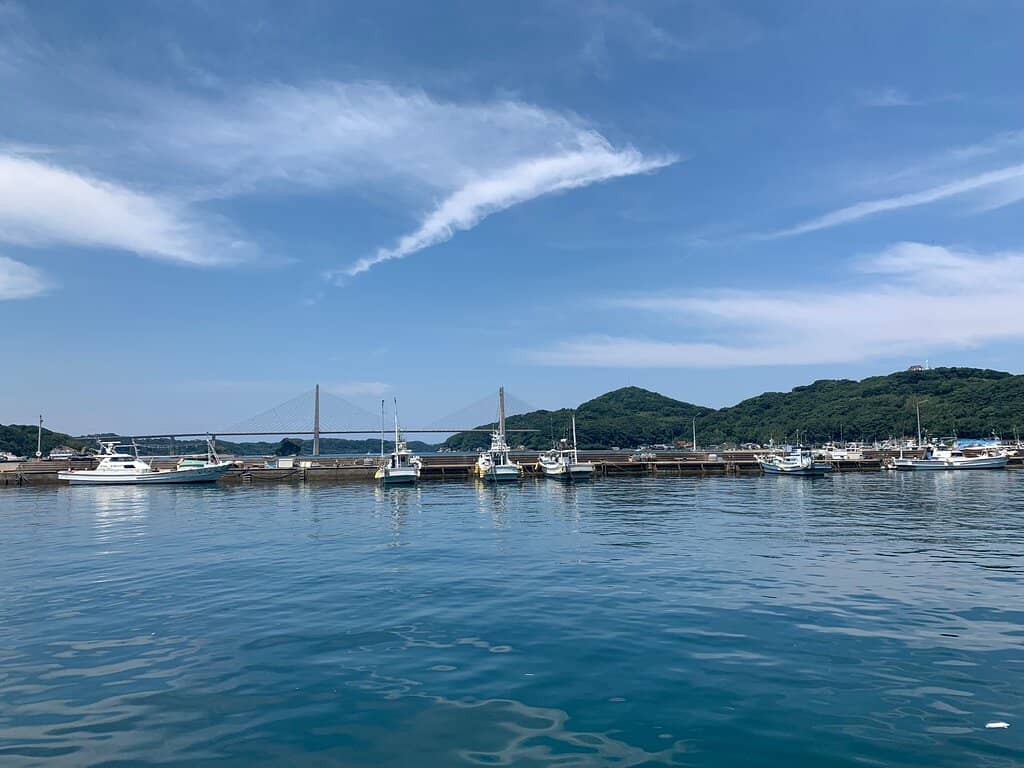 World's Tallest Bridge