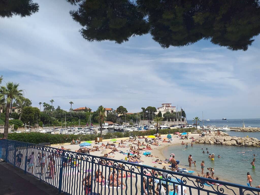 Family-Friendly Swimming