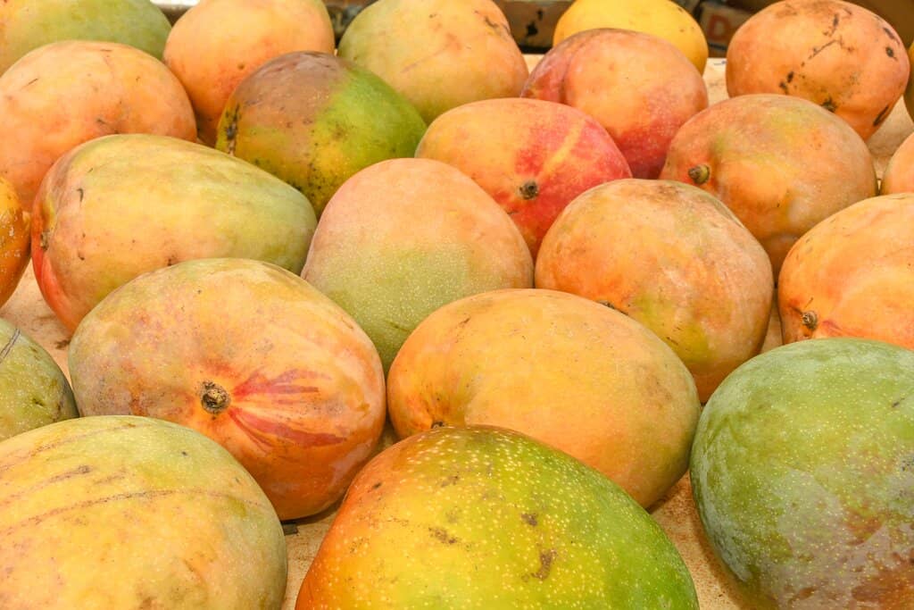 Coconut Candy Workshops