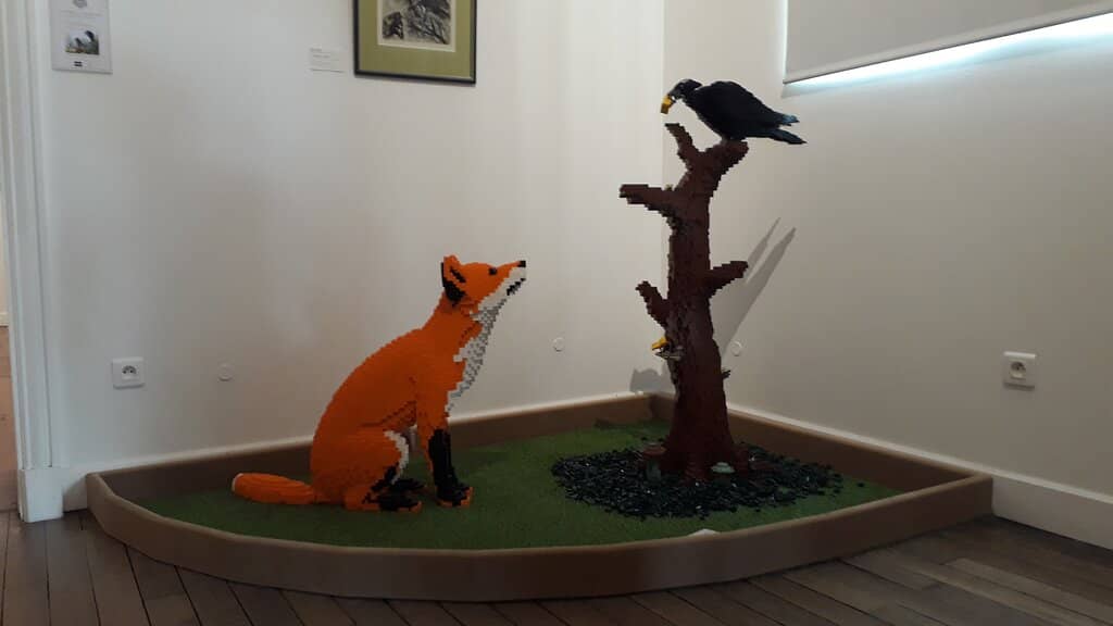 The Library and Collections