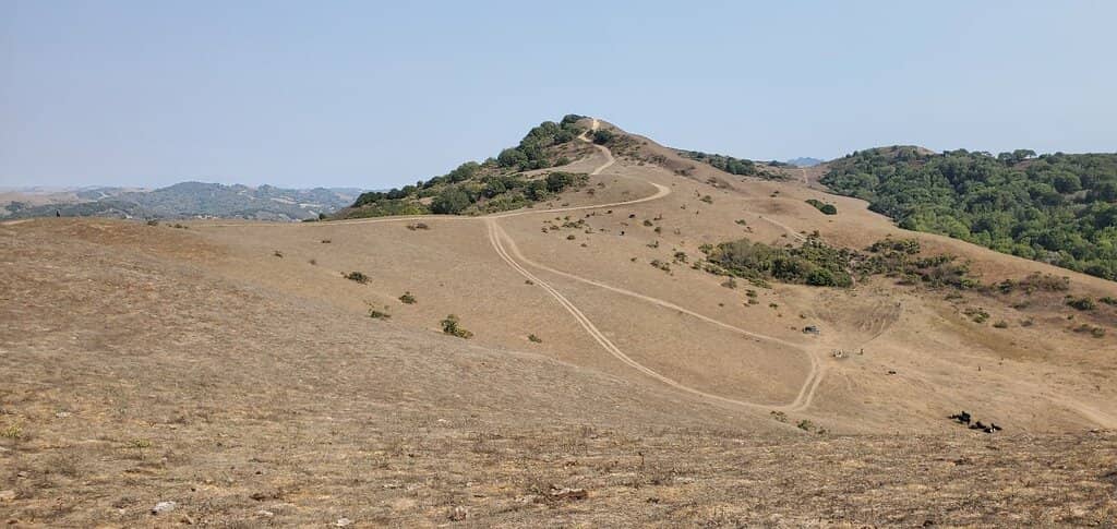 Wildlife Spotting Opportunities