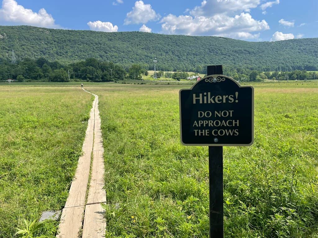 Sea Turtle Sightings