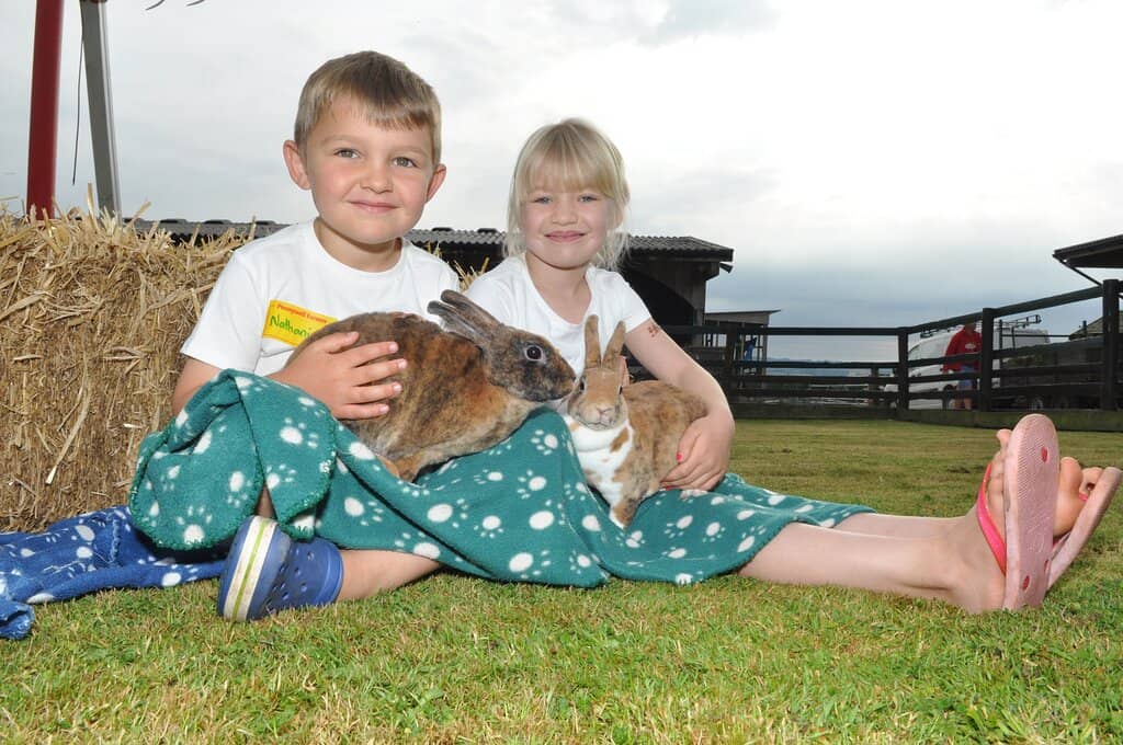 Meet & Feed a Variety of Animals
