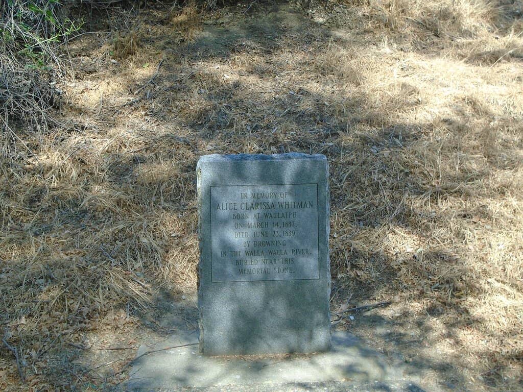 Museum & Visitor Center