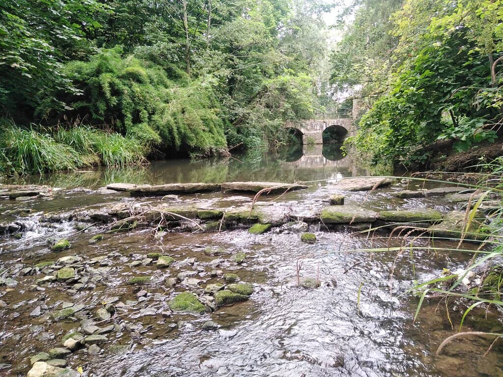 Sculpture Exhibitions