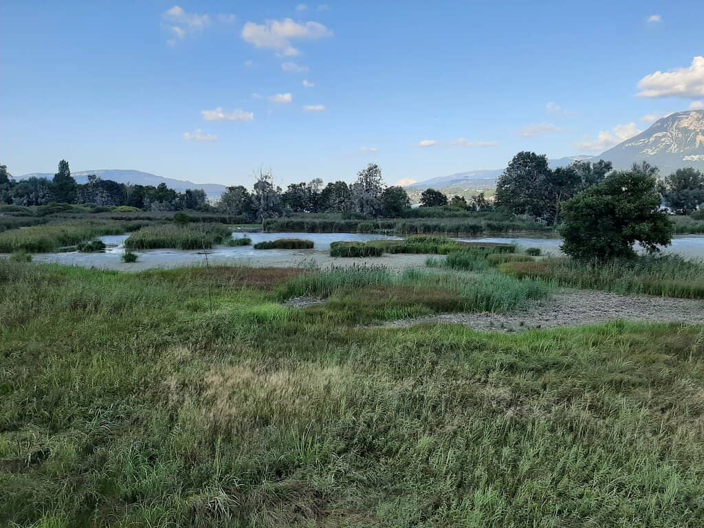 Architectural History