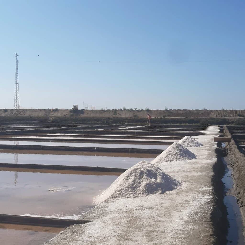 Salt Harvesting Process