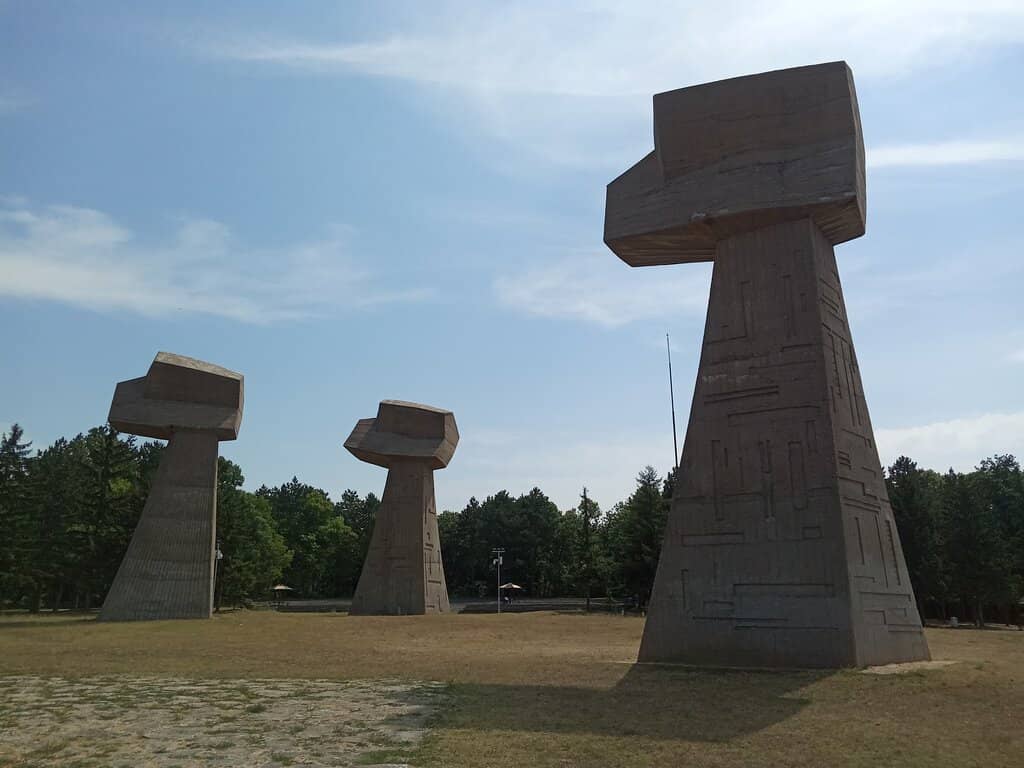 Tranquil Green Space