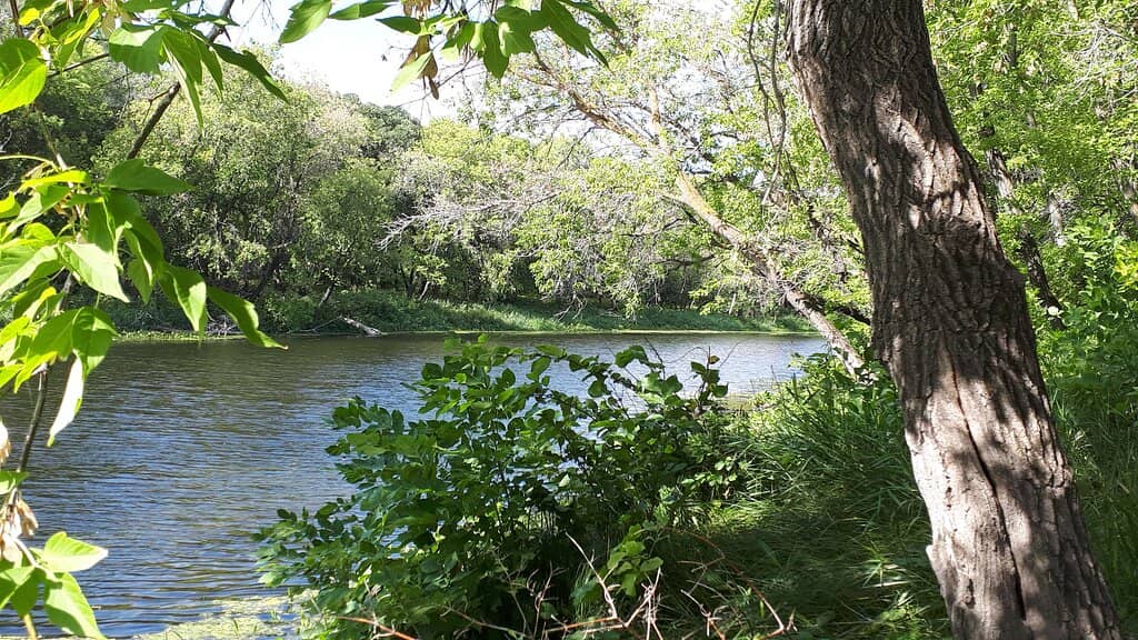 Scenic Hiking Trails