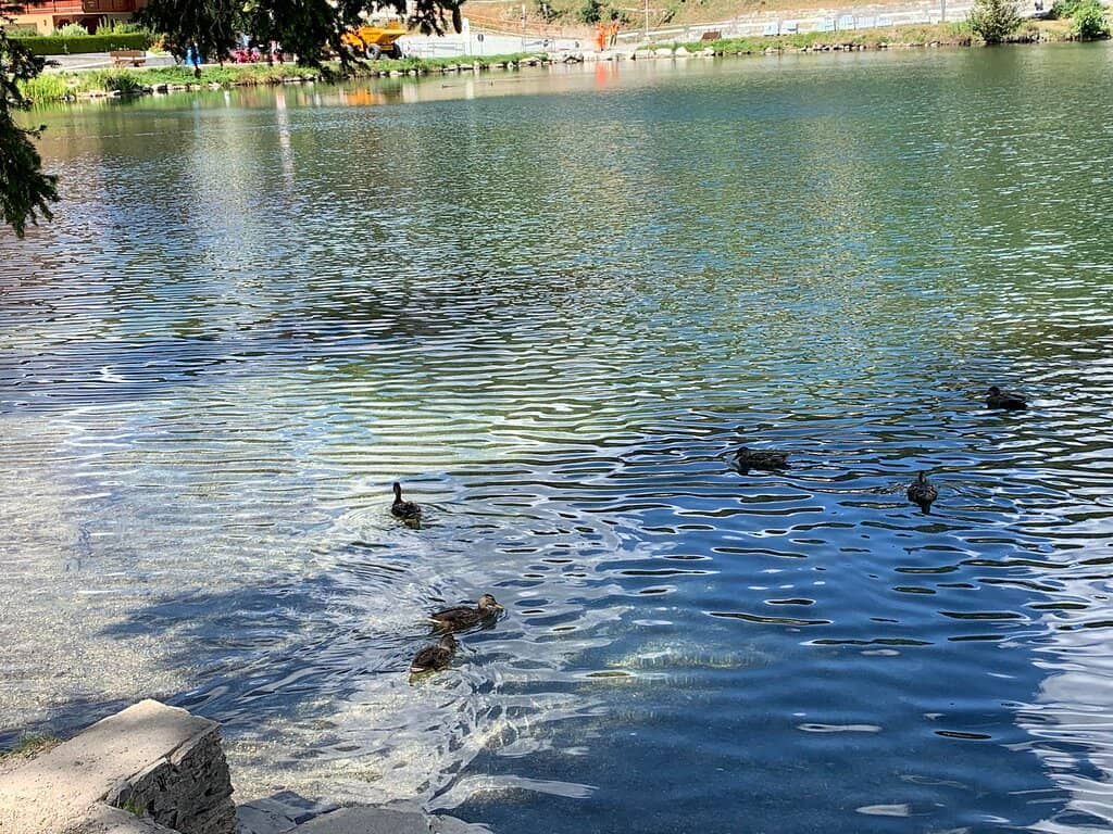 Scenic Lake Walk