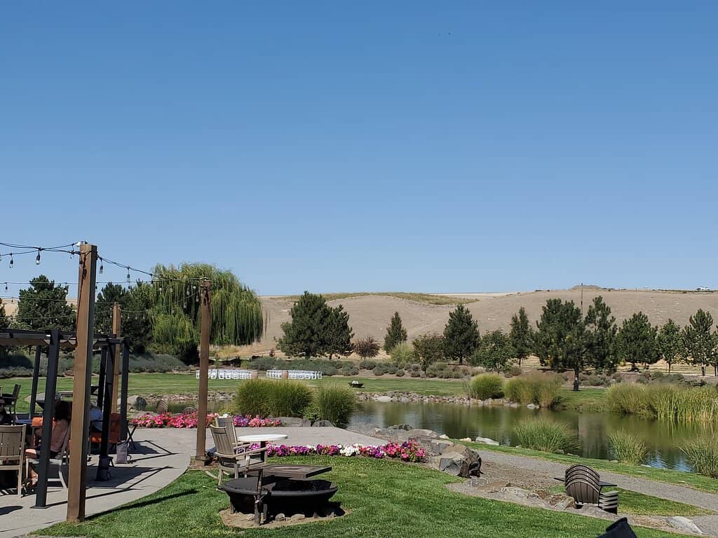 Delicious Food Offerings