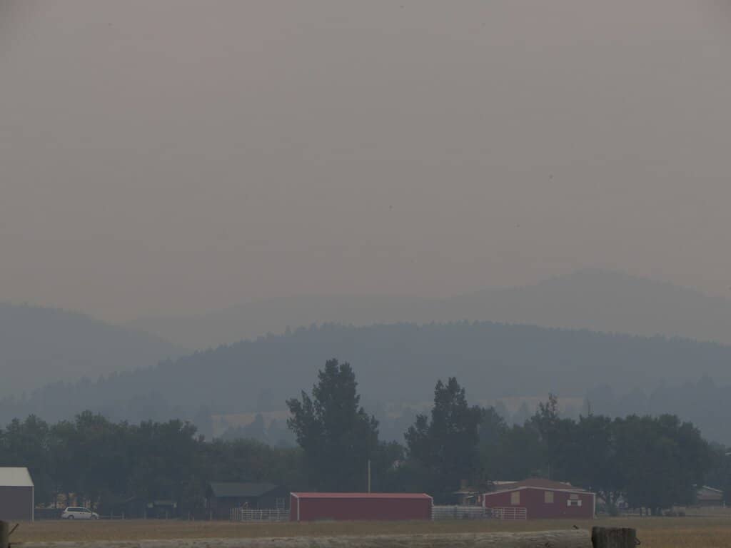 Interpretive Signage