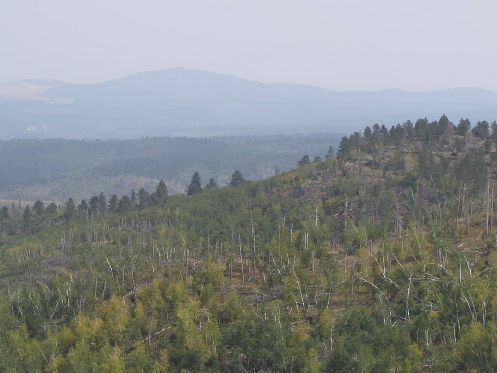 Historic Fire Lookout Tower