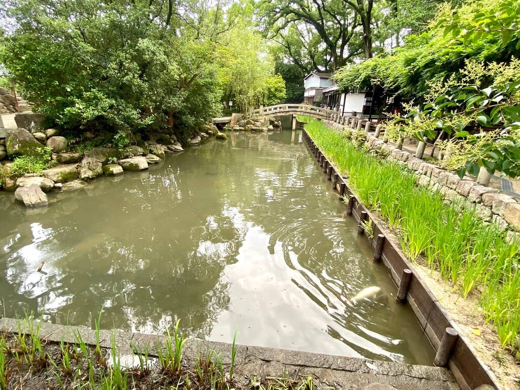 Summer Festival Lights