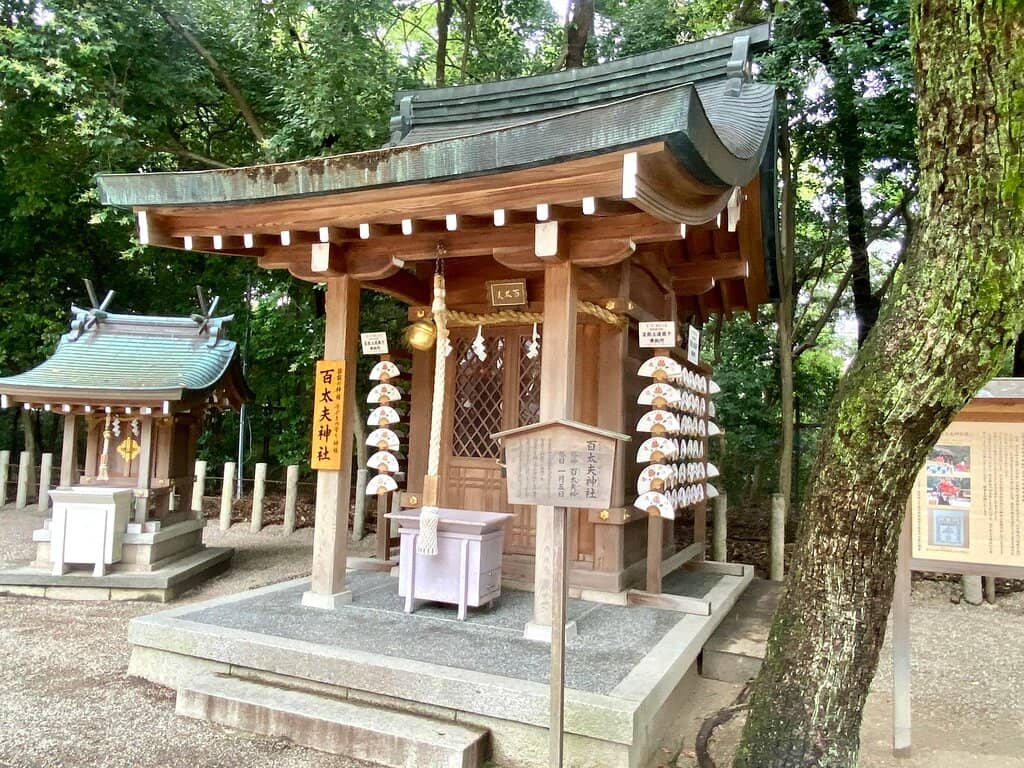 Tranquil Gardens and Ponds