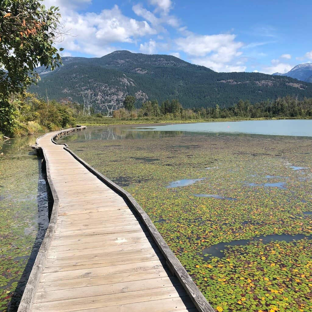Easy Lakeside Stroll