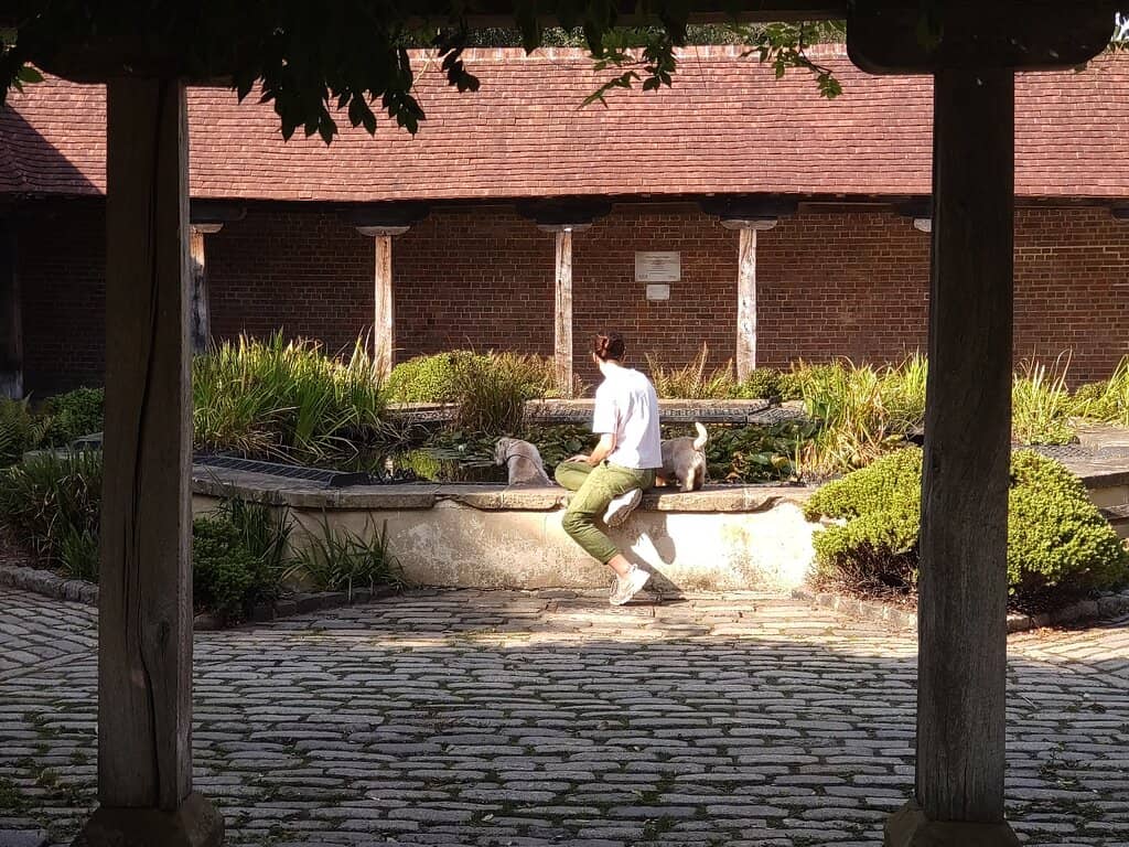 Bandstand Activities