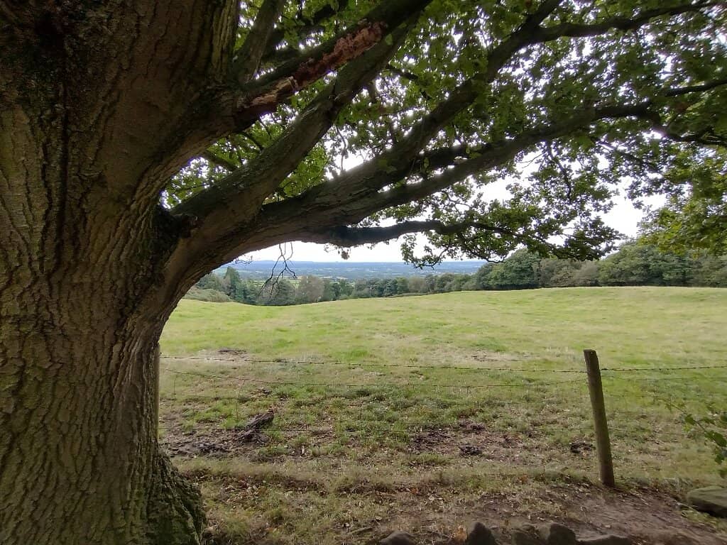 Sunset and Sunrise Spectacles