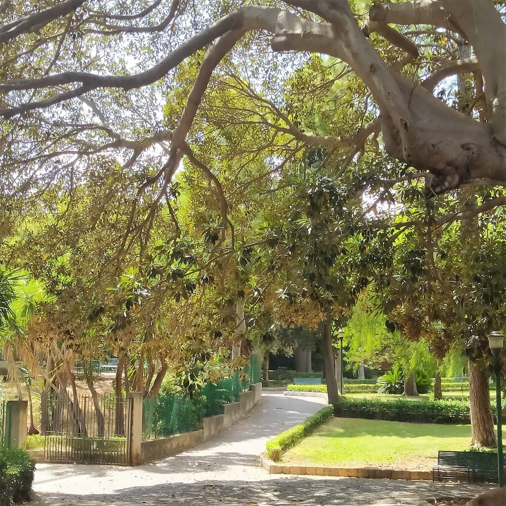 Intriguing Sculptures