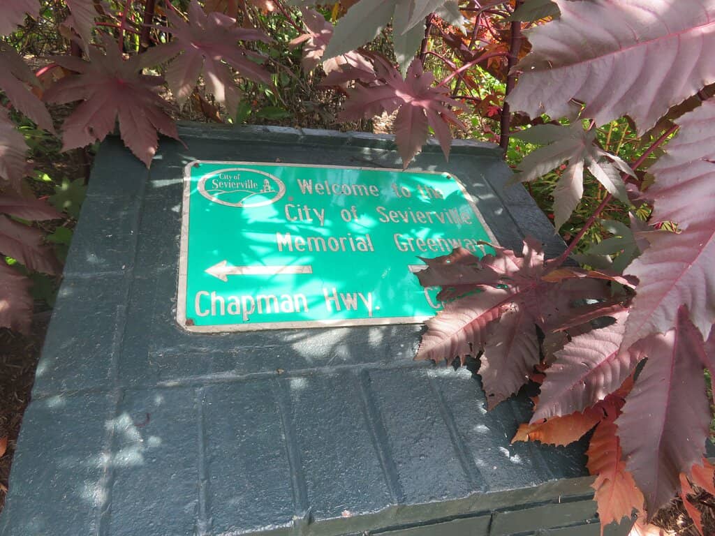 Smoky Mountain Backdrop